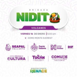 615161894_1282720563887493_4388716552259982988_n