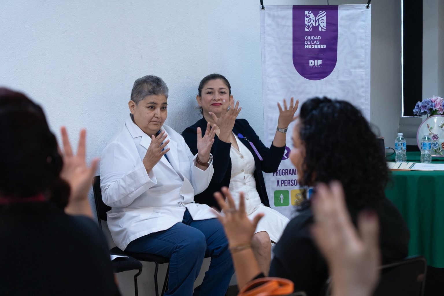 lengua de señas mexicana curso-dif